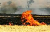 مهار و اطفا یک فقره آتش سوزی در شهرستان بهمئی