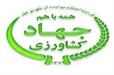 کشت 14850 هکتار از اراضی کشاورزی بندر ماهشهر در سال زراعی جاری