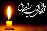 پيام تسليت فرمانده ناجا به مناسبت شهادت سرگرد شهيد 'علی غلامی'