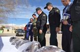 محموله 107 کيلوئی ترياک در محور باباميدان-ياسوج کشف و ضبط شد.