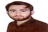 نشاط سیاسی در گروِ بصیرت سیاسی/ محمد باقر بهدار پور