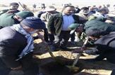 طرح بیابان زدایی در ۳۰۰هکتار از اراضی هندیجان آغاز شد.