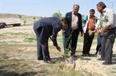 کاشت 500  اصله نهال توسط كاركنان شركت نفت و گاز مسجدسليمان