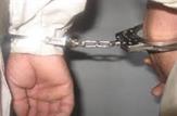 دستگیری سارقین احشام در شهر سوق