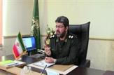 یک هکتار زمین در ورامین زیر کشت خشخاش