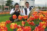 عاقبت نافرجام گویش های محلی