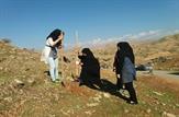 کاشت 500 اصله نهال در منطقه حفاظت شده هفت شهیدان+گزارش تصویری