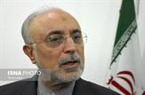 صالحی: هیچگاه غنی‌سازی در نطنز متوقف نشد/ برق اصلی مرکز غنی سازی نطنز وصل شده است