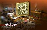 اعضای شورای اسلامی شهرستان بهمئی انتخاب شدند