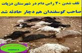 تلف شدن ۴۰ راس دام در شهرستان دزپارت