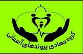 شرکت ملی مناطق نفتخیزجنوب همکاری شایسته ای با گروه های جهادی ندارد