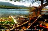 طبیعت زیبای روستای شیخ حسین شهرستان چرام-استان کهگیلویه و بویراحمد+فیلم