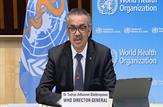 سازمان جهانی بهداشت شیوع «آبله میمون» را یک وضعیت اضطراری جهانی اعلام کرد|مردان همجنسگرا در صدر خطر ابتلا