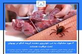 هشدار/۳ مورد مشکوک به تب کریمه کنگو در بهبهان تحت مراقبت هستند/یک نفر از استان همجوار برای مراقبت به بهبهان انتقال داده شد/انجماد و پخت کامل گوشت را در دستور کار قرار دهید