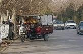 سوژه های بی نصیب