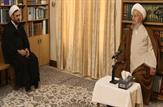 آیت‌الله مکارم شیرازی: سرچشمه مواد مخدر، فحشا، سرقت و بسیاری دیگر از جرایم مشکلات اقتصادی است