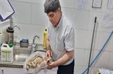 جدائی اجباری نوزاد تازه متولد شده بزکوهی از مادر توسط شکارچیان بی رحم/ 3 نوزاد بزکوهی در گونی حبس شدند/تلف شدن دو نوزاد بر اثر پرت عمدی از ماشین شکارچیان