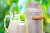 درخواست افزایش ۳۰درصدی قیمت محصولات لبنی منطقی نیست/ کمیسیون کشاورزی بر تعیین قیمت‌ها نظارت می‌کند
