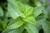 راهکاری آسان برای غلبه بر نفخ و یبوست و بیماری های گوارشی