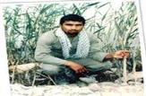 یادواره شهید والامقام «رمضان جهان تاب پور» برگزار می شود