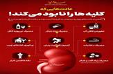 عادت‌هایی که کلیه‌ها را نابود می‌کند|اینفوگرافی