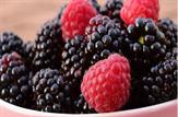 12 خاصیت برگ شاه توت+طرز تهیه دمنوش