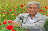 «فریدون داوری» شاعر شاخص کهگیلویه و بویراحمدی درگذشت