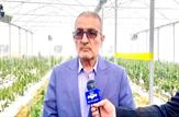 راه‌اندازی شهرک گلخانه‌ای ۳۰ هکتاری بهمئی در دستور کار است