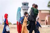 افغان ستیزی دامی فریبنده