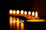 اعلام ۳روز عزای عمومی ازسوی هیات دولت/ رئیس جمهور و هیات دولت در عزای شهدای سرافراز و سربلند به سوگ می‌نشینند